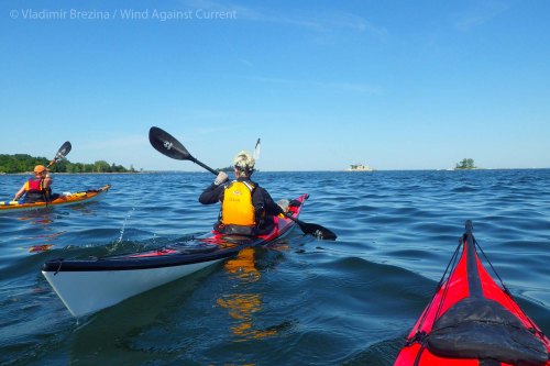 IMGP6773 cropped small