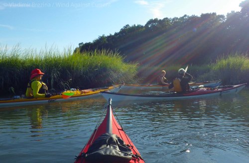 IMGP6845 cropped small