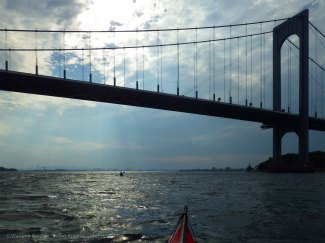 IMGP7048 cropped small