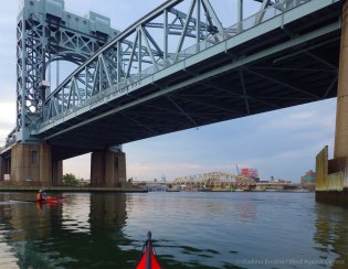 IMGP7120 cropped small