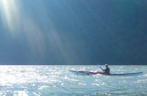 IMGP7271 cropped small