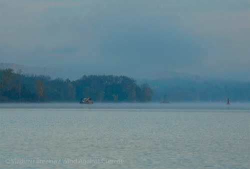 DSC_0517 cropped small