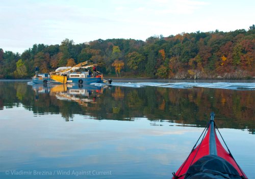 DSC_0535 cropped small