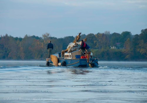 DSC_0537 cropped small