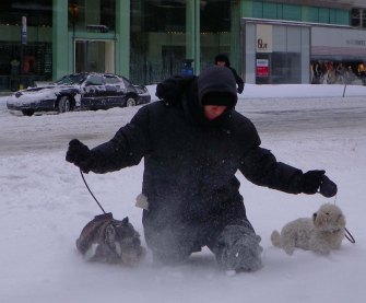 IMGP1224 cropped small 2