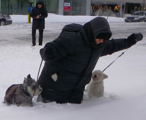 IMGP1225 cropped small 2