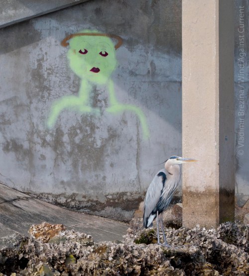 St. Petersburg, FL St. Peterburg, FL