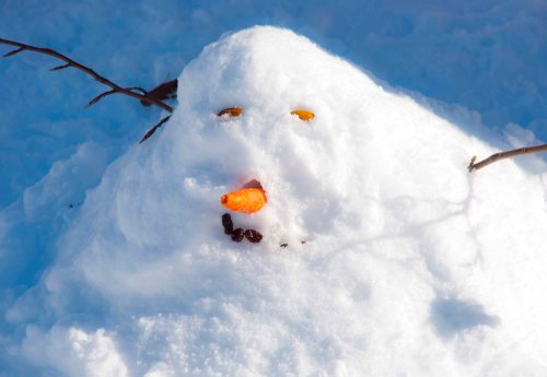 DSC_0368 cropped small