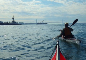 IMGP8873 cropped small