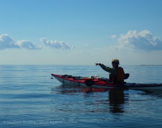 IMGP8958 cropped small