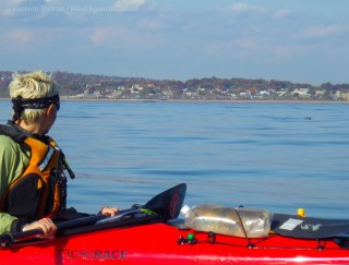 IMGP8964 cropped small