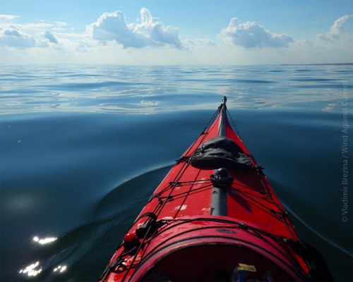 IMGP8994 cropped small