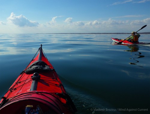 IMGP8996 cropped small