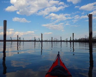 IMGP9031 cropped small