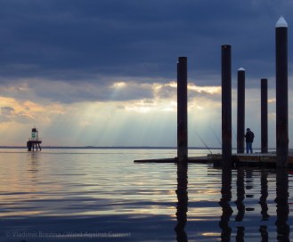 IMGP9063 cropped small