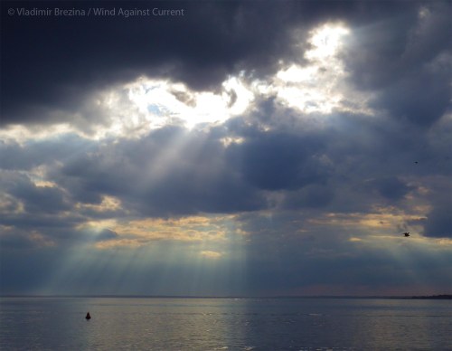 New York Harbor, November 2013