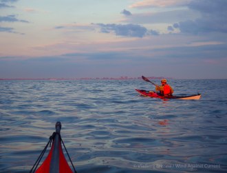 IMGP9238 cropped small