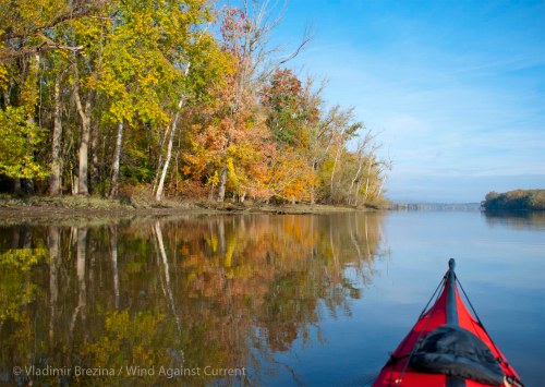 DSC_0028 cropped small