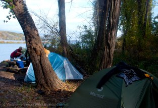 DSC_0183 cropped small