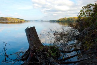 DSC_0305 cropped small