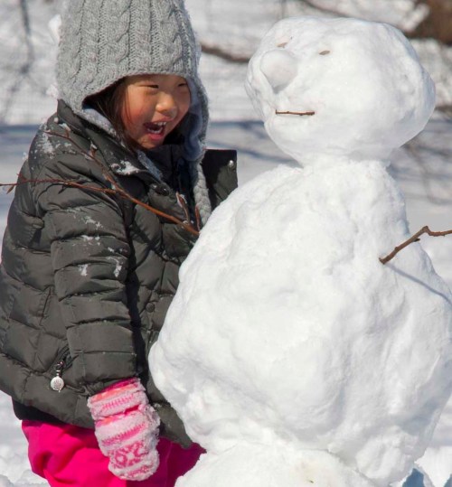 DSC_0353 cropped small 2