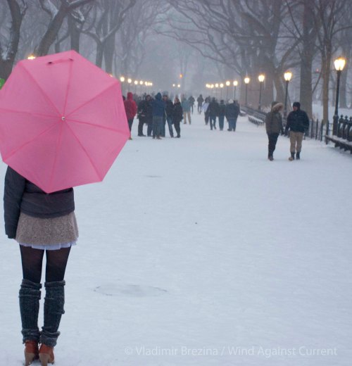 Pink in Winter