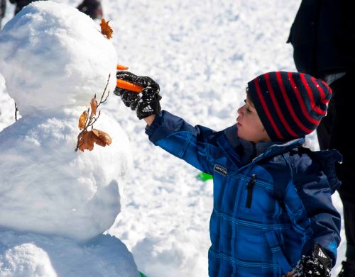 DSC_0373 cropped small