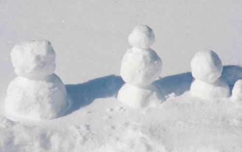 DSC_0471 cropped small