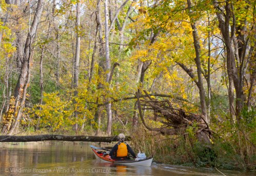 DSC_0502 cropped small