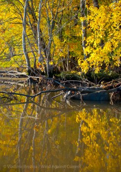 DSC_0938 cropped small