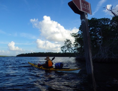 Wondering what's round the next corner