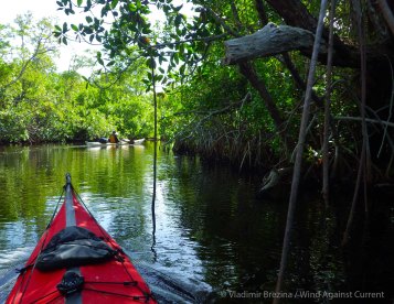 Through tortuous creeks