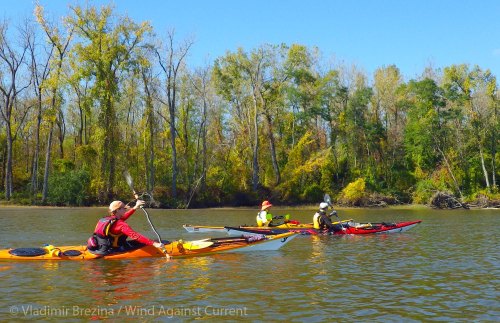 IMGP7636 cropped small