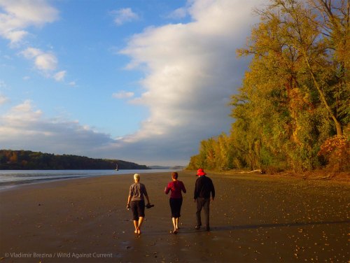 IMGP7876 cropped small