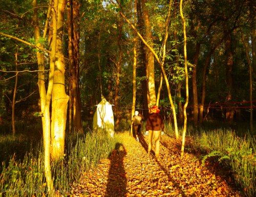 IMGP7889 cropped small