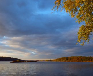 IMGP7953 cropped small