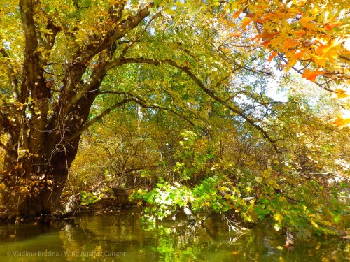 IMGP8220 cropped small