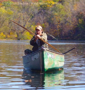 IMGP8368 cropped small 2