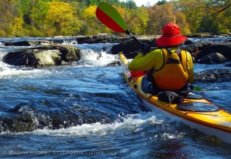 IMGP8479 cropped small