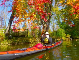 IMGP8539 cropped small