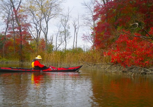 IMGP8571 cropped small