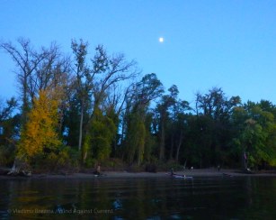 IMGP8724 cropped small