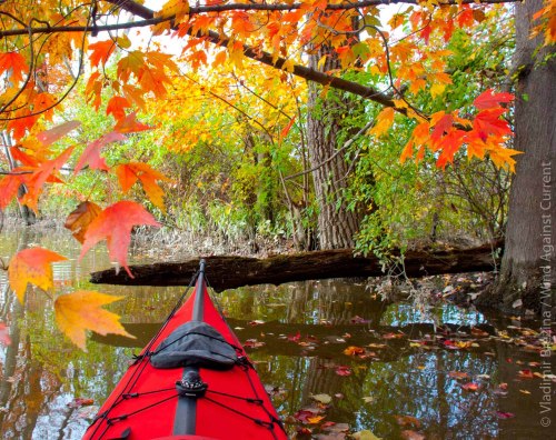 DSC_0338 cropped small 2