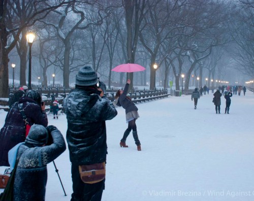 DSC_0431 cropped small 2