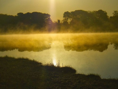 IMGP3650 cropped small