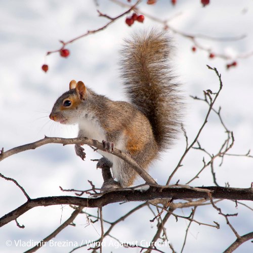 DSC_0074 cropped small 2