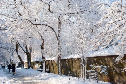 DSC_0160 cropped small