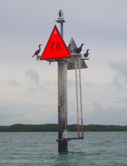 Paddling by numbers 3