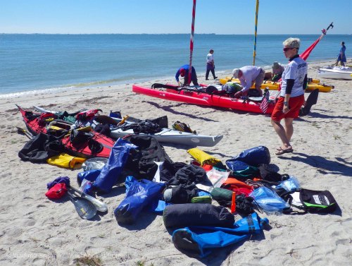 IMGP2973 cropped small