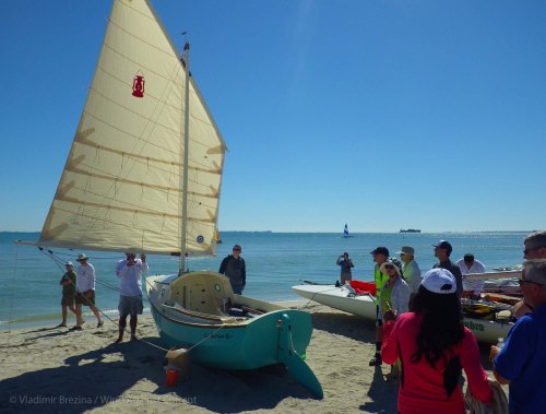 Fat Bottom Girl attracts attention